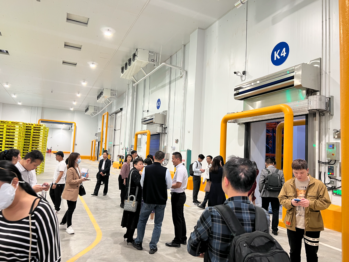 1678779324396451.jpg 10.jpg