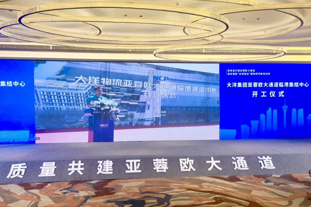 1719803126714413.jpg 9.jpg