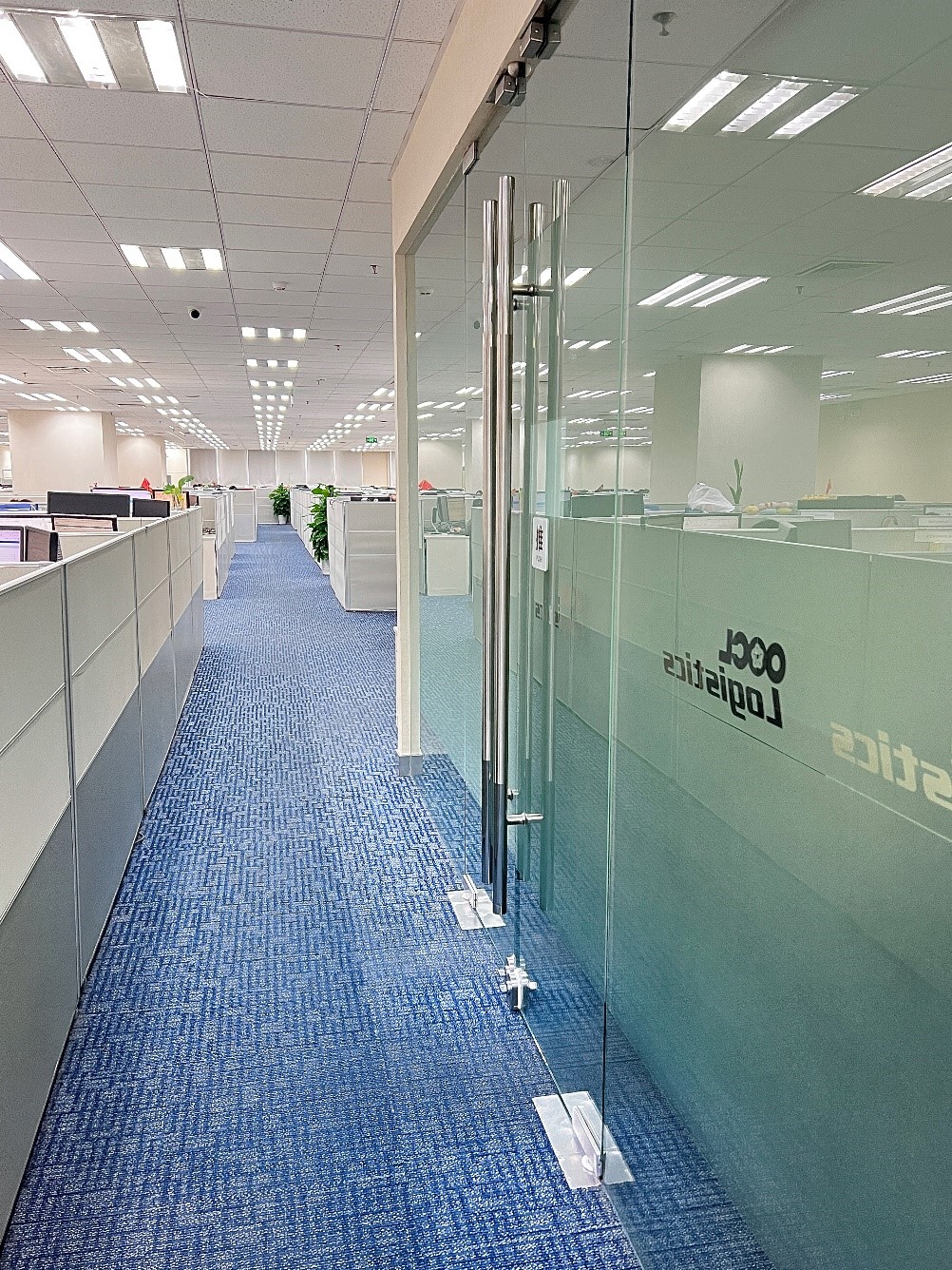 1735182061264043.jpg 2.jpg