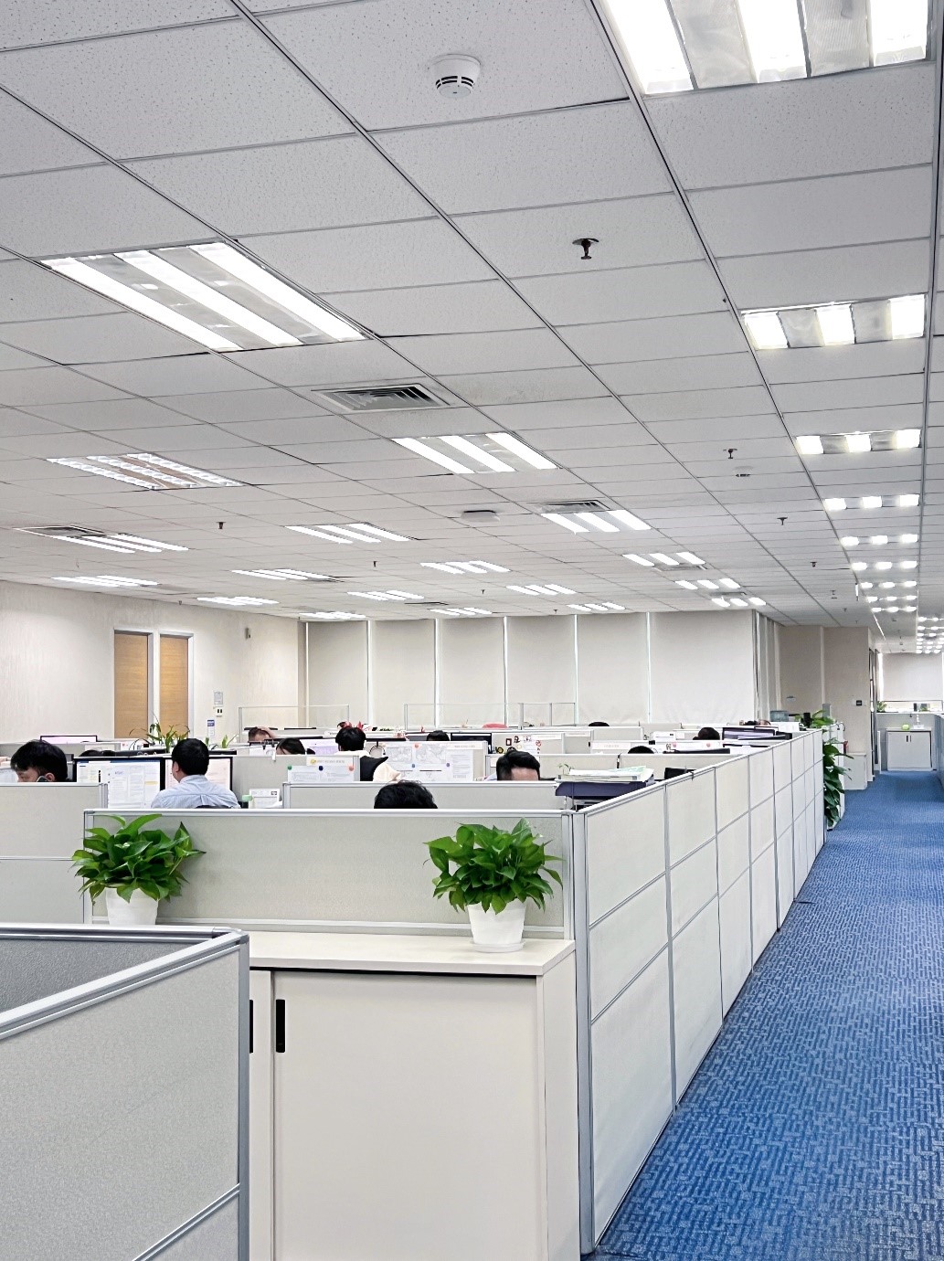 1735182065128634.jpg 3.jpg